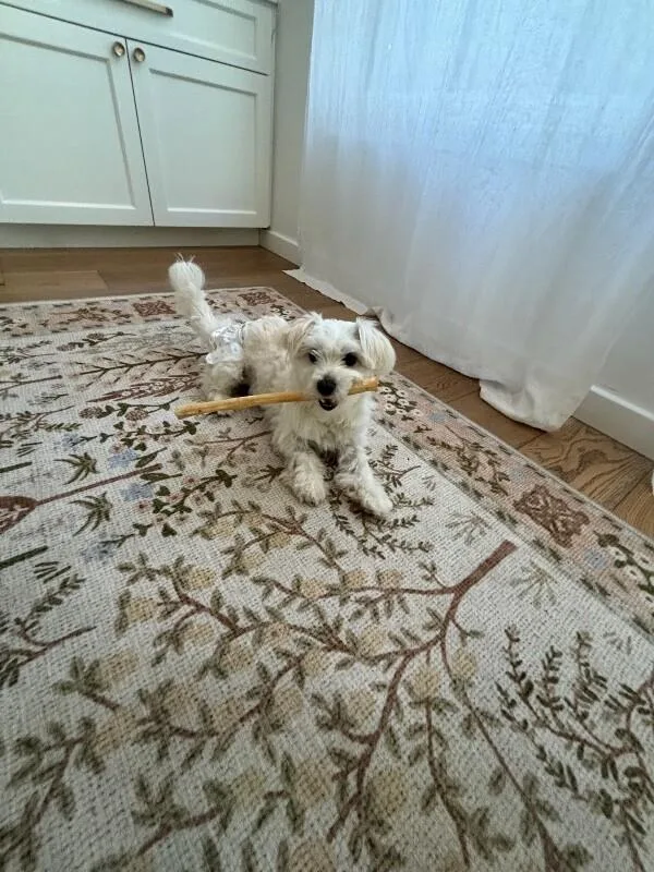 Hamilton thumbnail 3