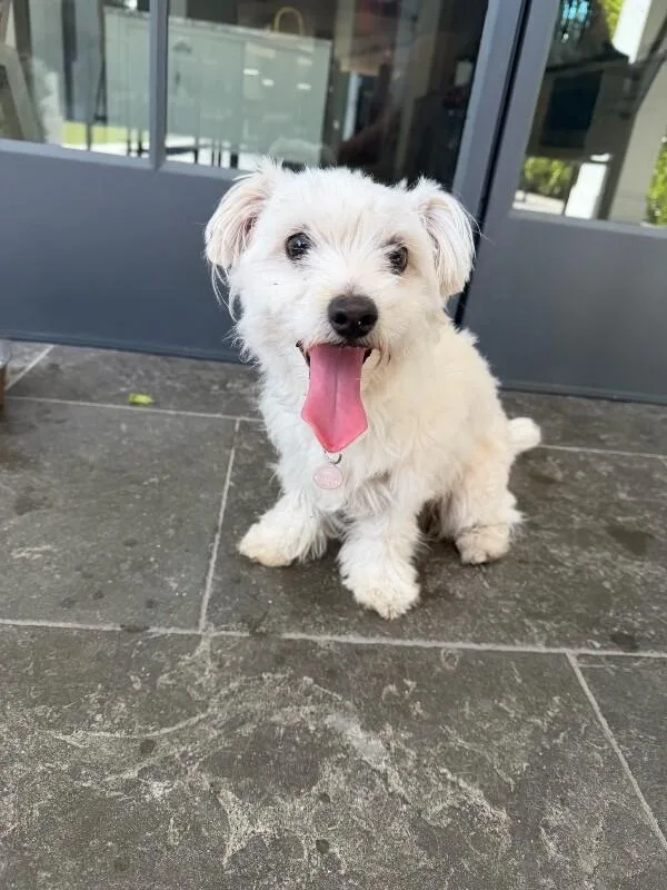 Hamilton thumbnail 4