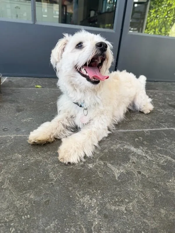 Hamilton thumbnail 5