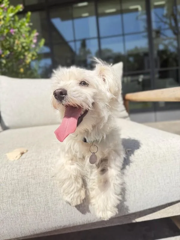 Hamilton thumbnail 6