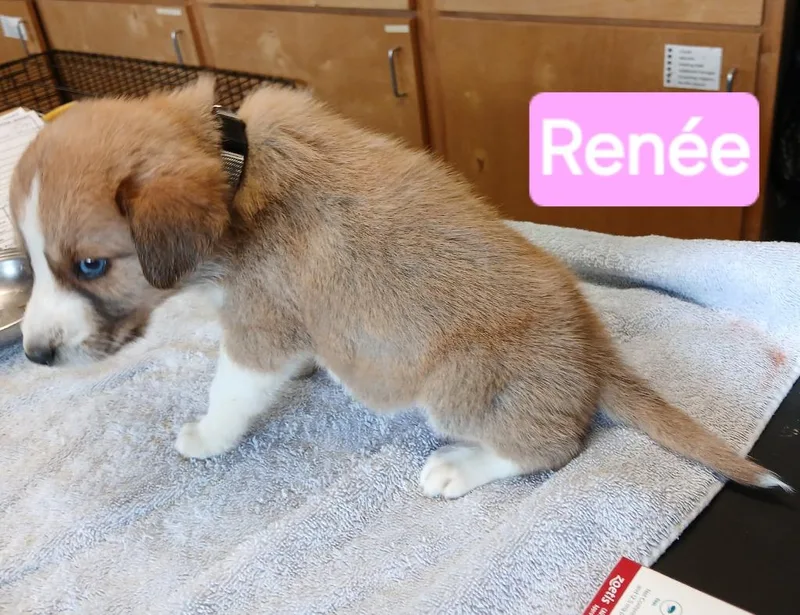 Renée thumbnail 4