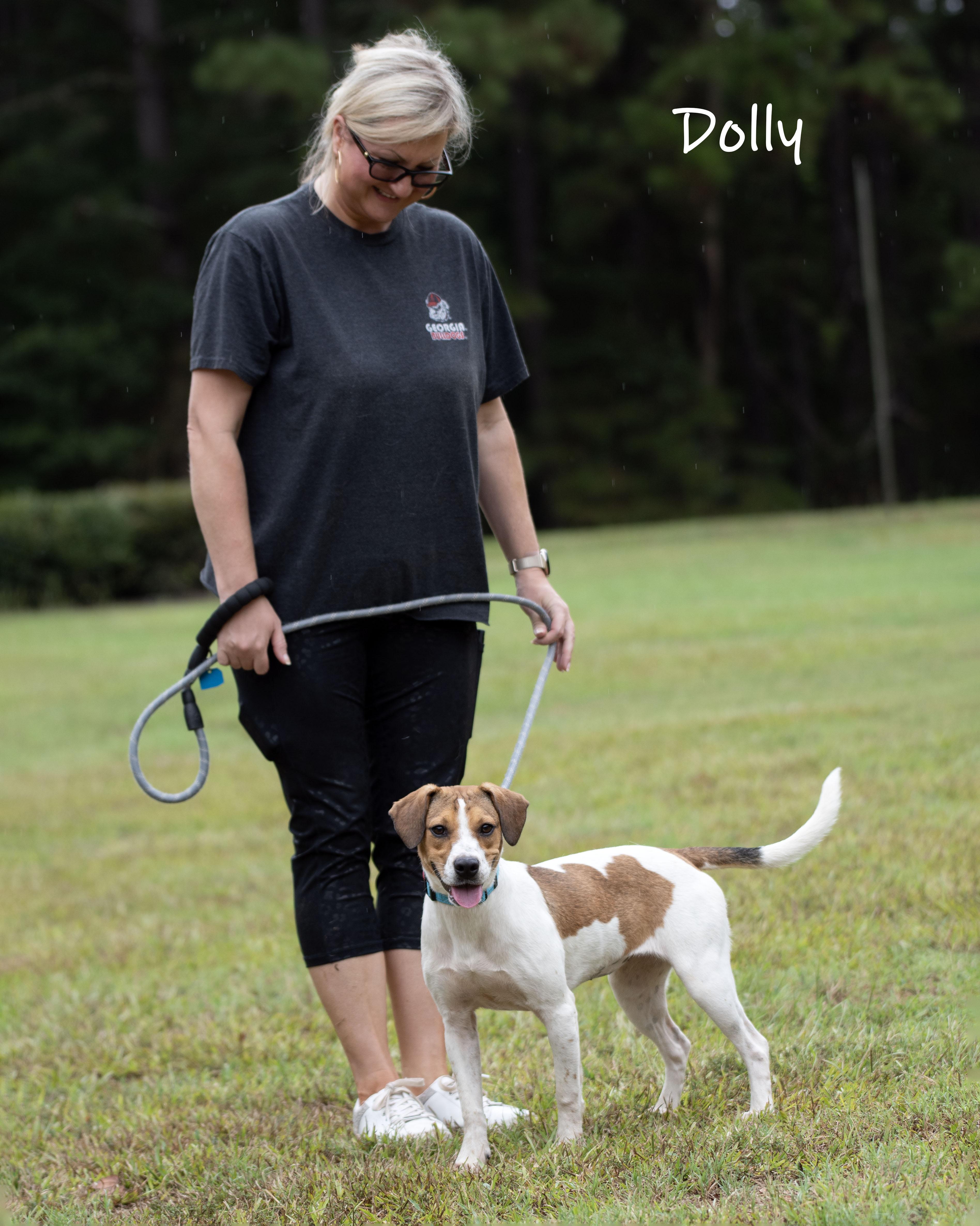 Dolly thumbnail 6