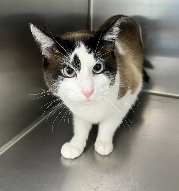 Whittaker thumbnail 2