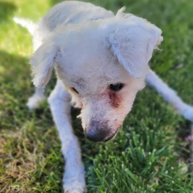 Max Mailman thumbnail 5