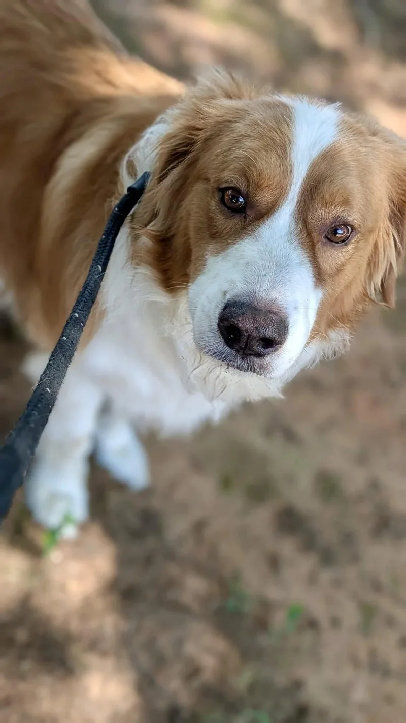 Jaxpot