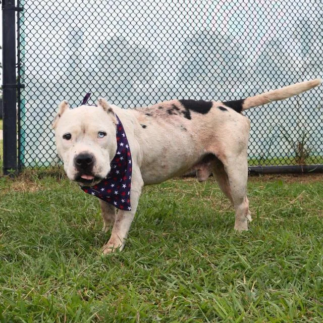 Kingston thumbnail 2