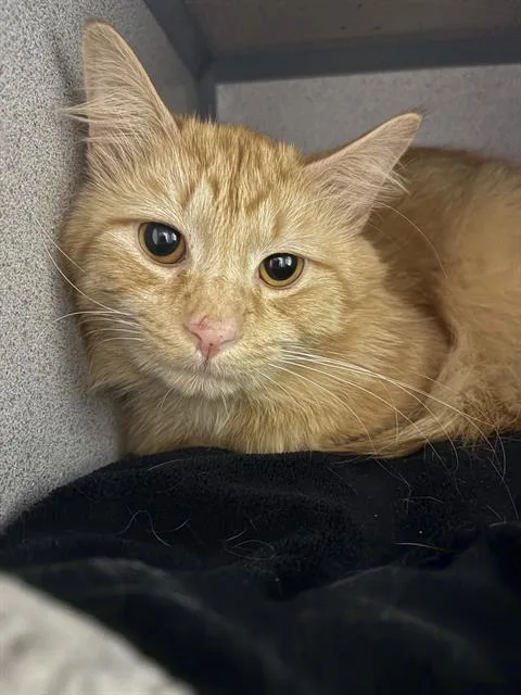 Sebastian