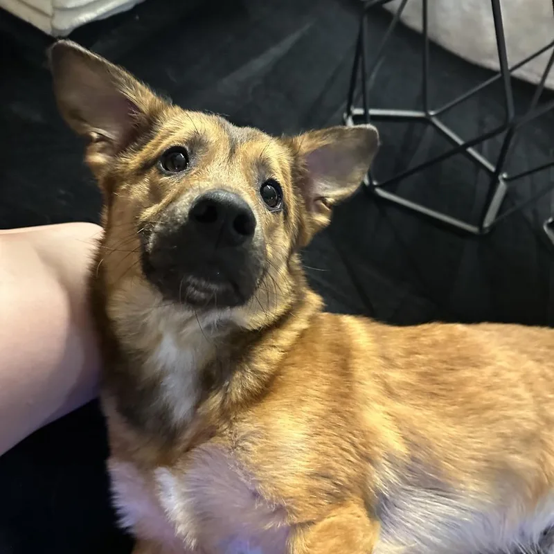 Banjo thumbnail 2