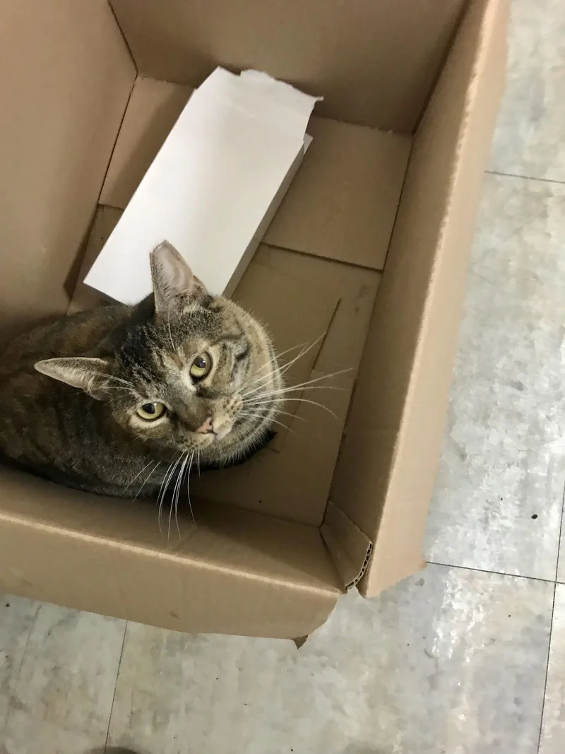 Princess thumbnail 3