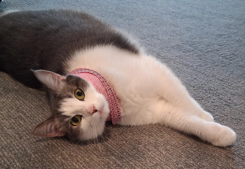 Peggy Peaches thumbnail 2