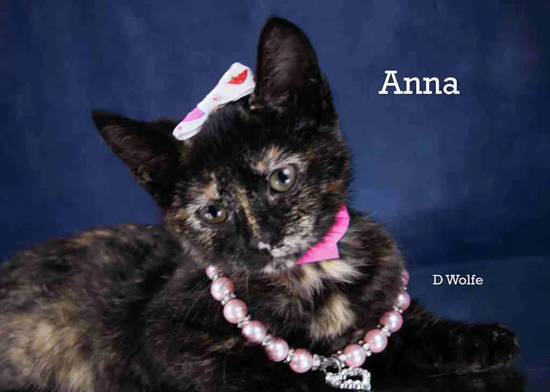 Anna thumbnail 2