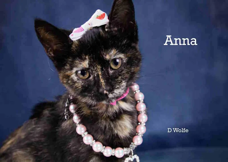 Anna thumbnail 4