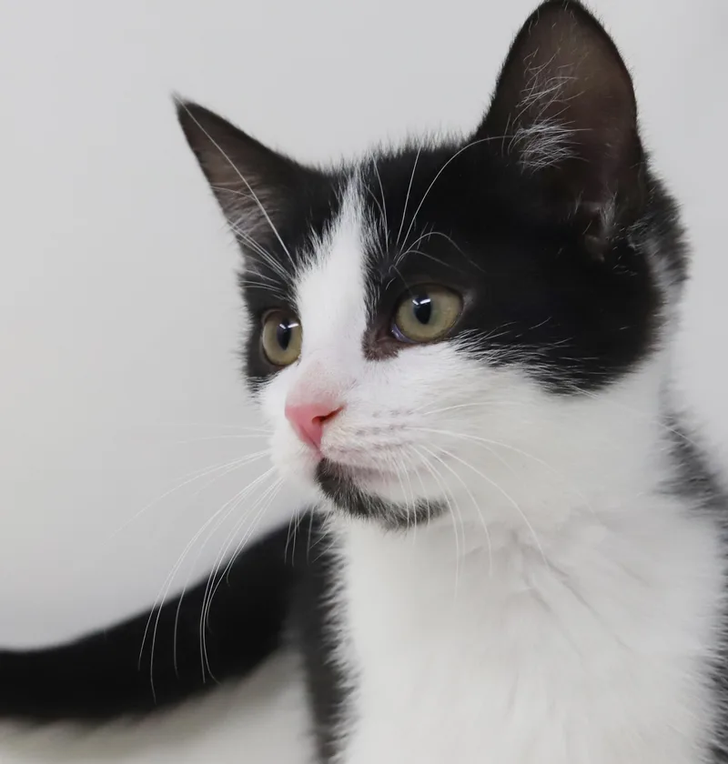 Brandy Will Wow U thumbnail 2