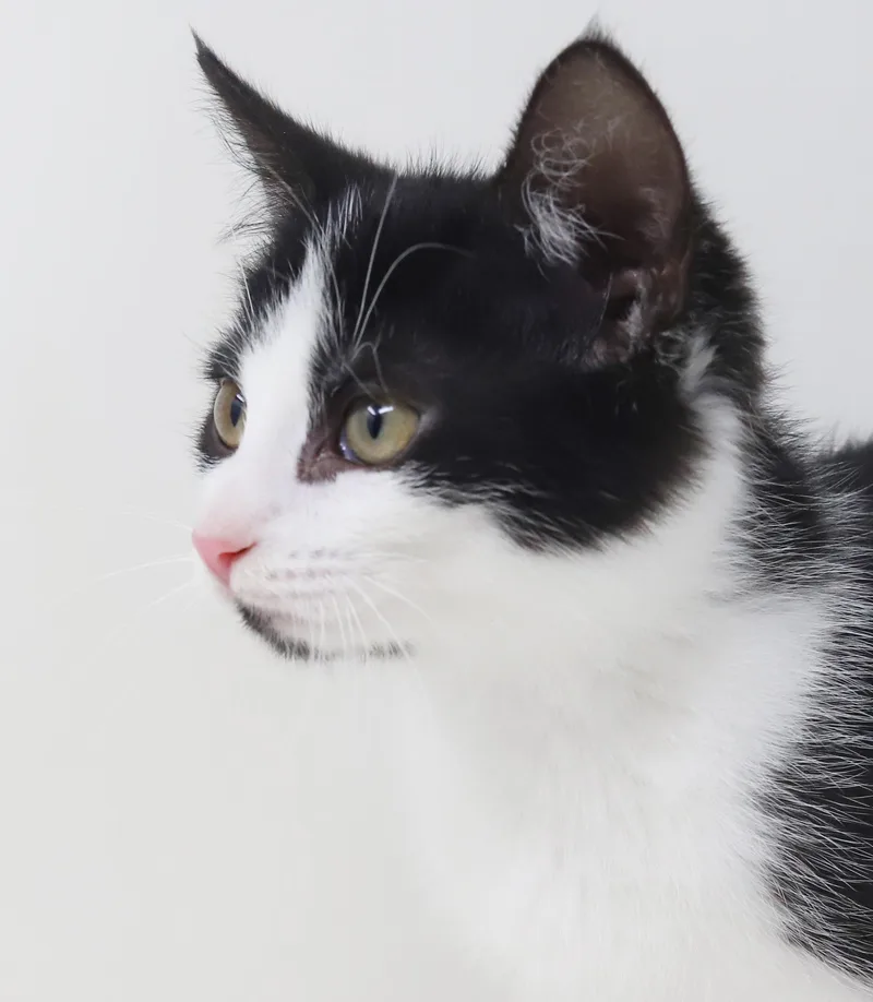 Brandy Will Wow U thumbnail 3