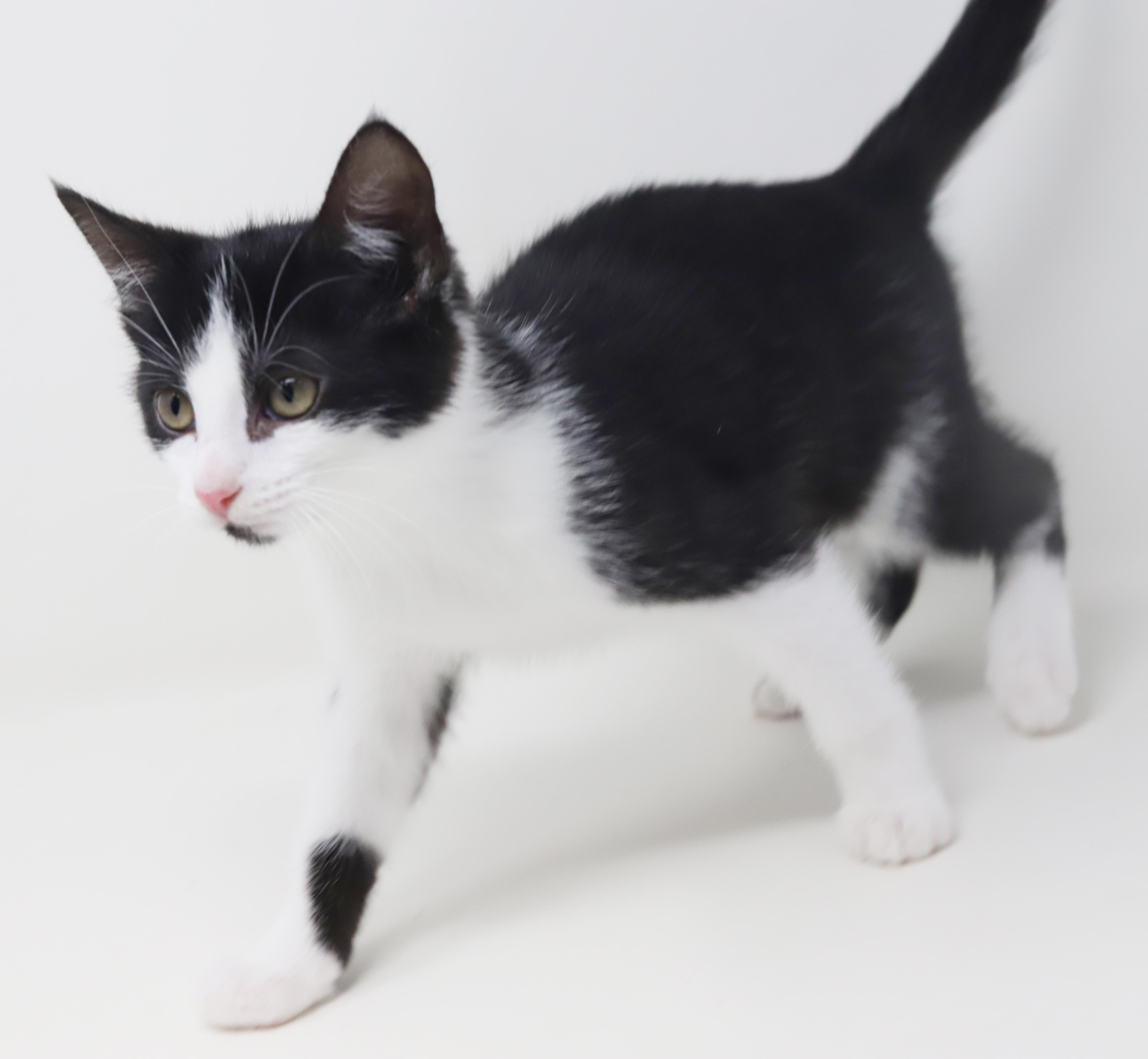 Brandy Will Wow U thumbnail 4