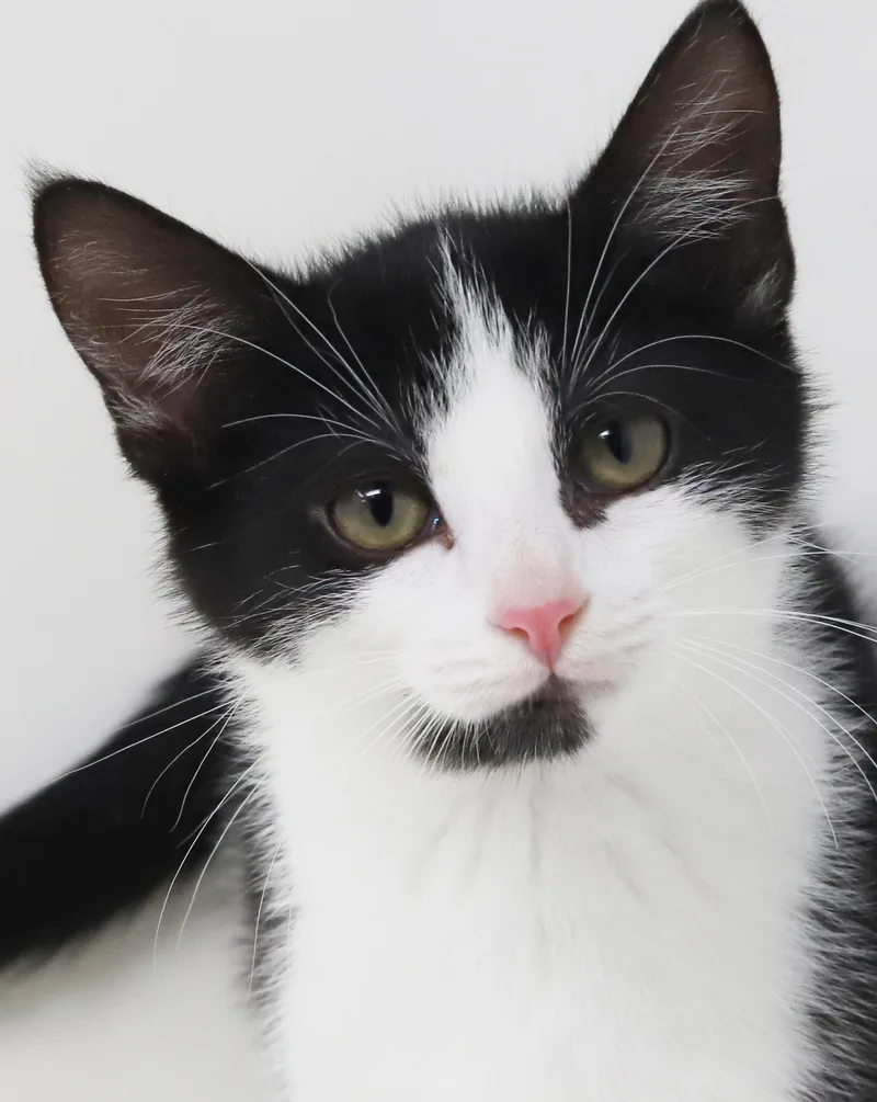 Brandy Will Wow U thumbnail 5