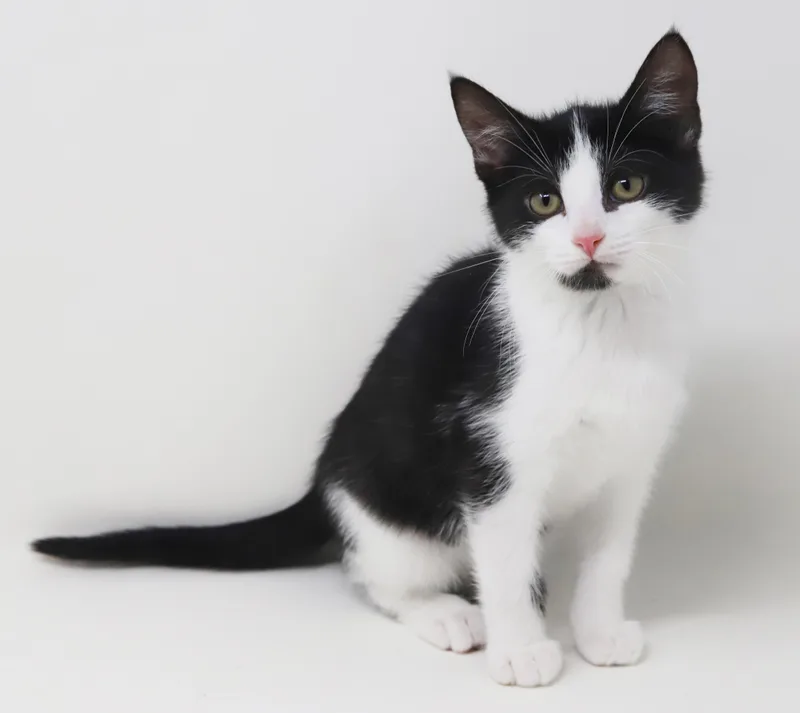 Brandy Will Wow U thumbnail 6