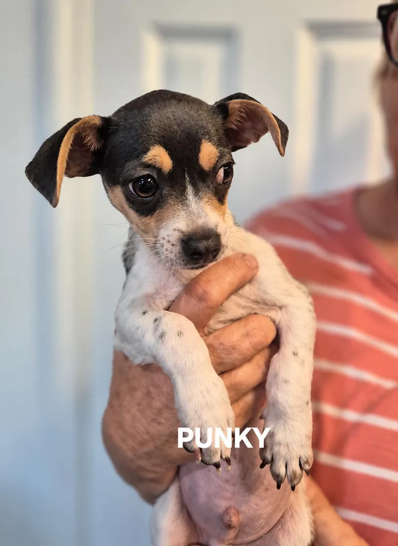 Punky and Brewster thumbnail 5