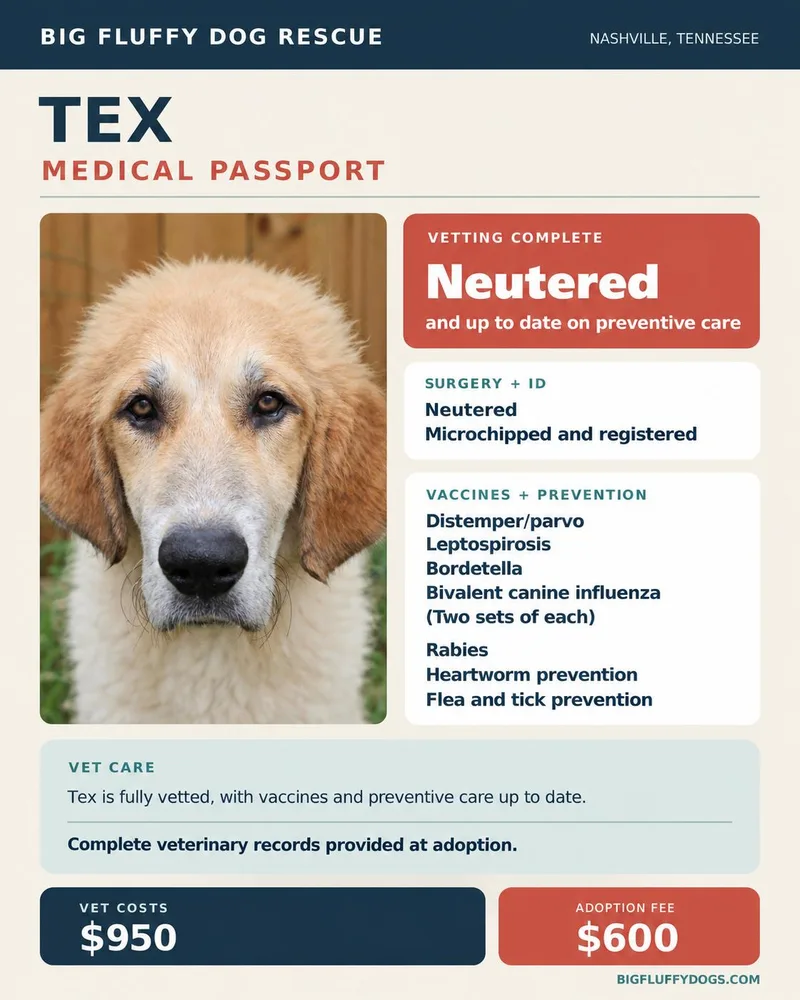 Tex thumbnail 2