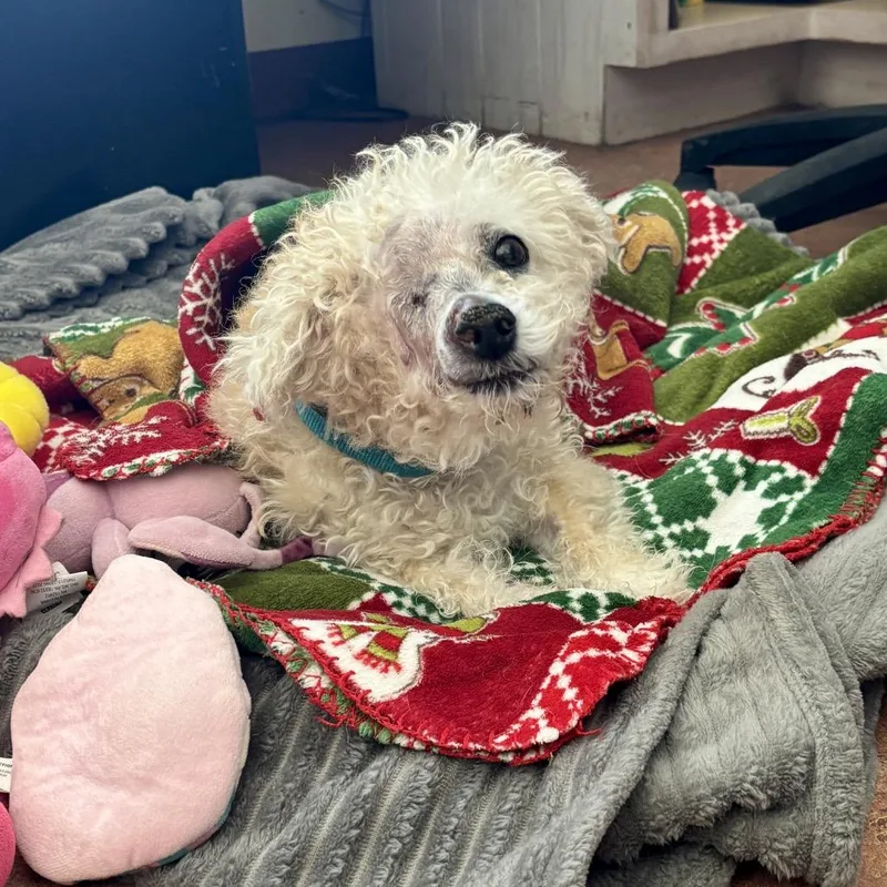 Betty thumbnail 6