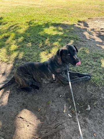 Olivia Ellie Love!! thumbnail 2