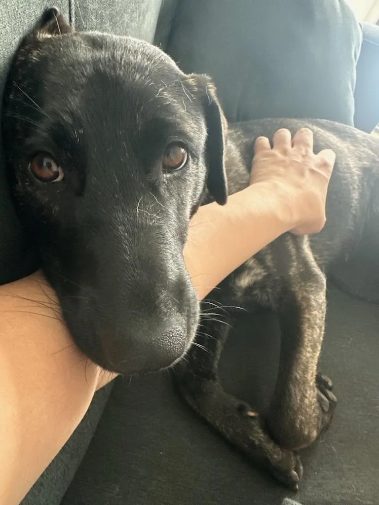 Olivia Ellie Love!! thumbnail 3