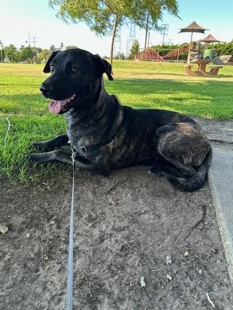 Olivia Ellie Love!! thumbnail 4