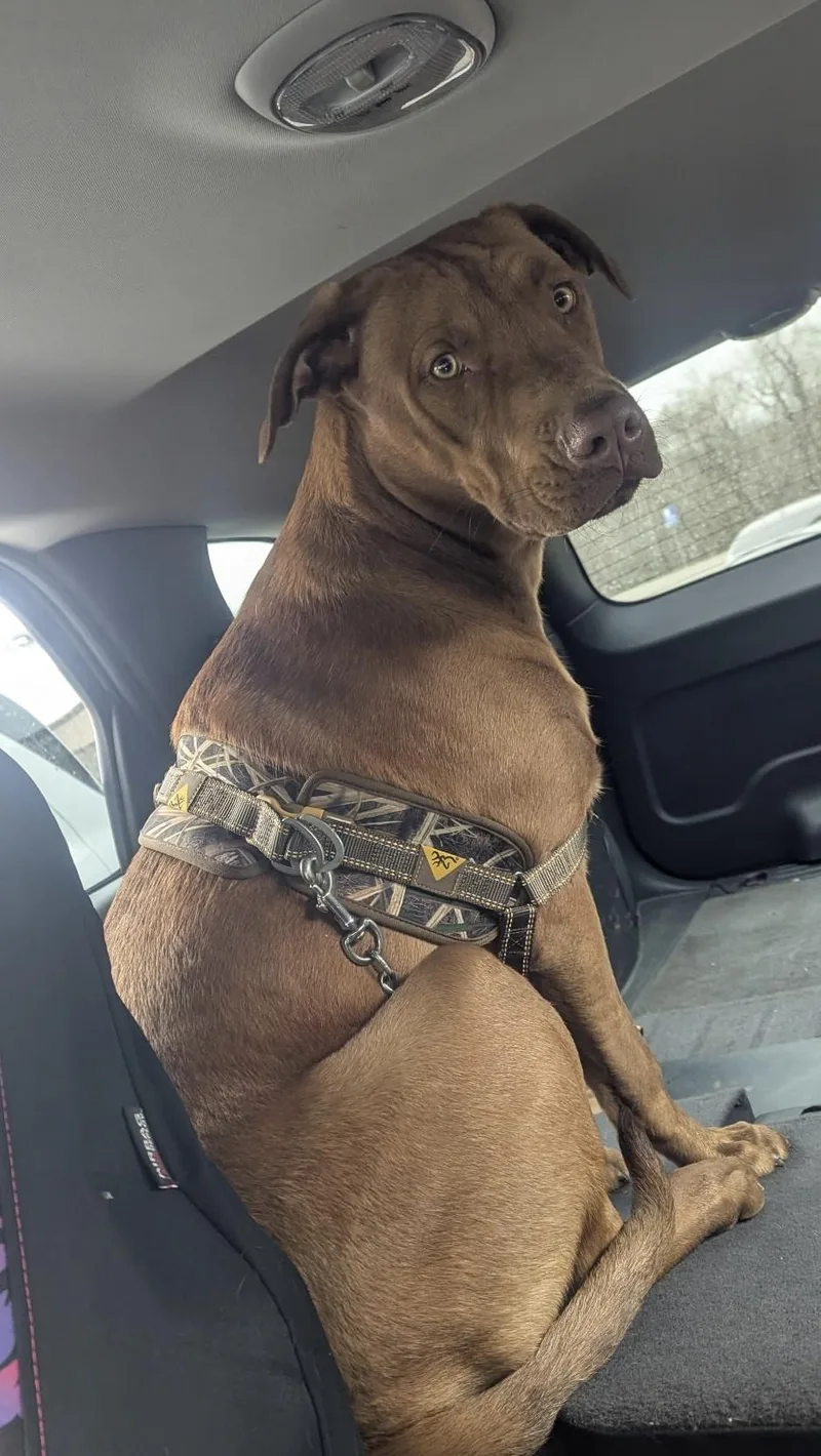 Ludacris thumbnail 2