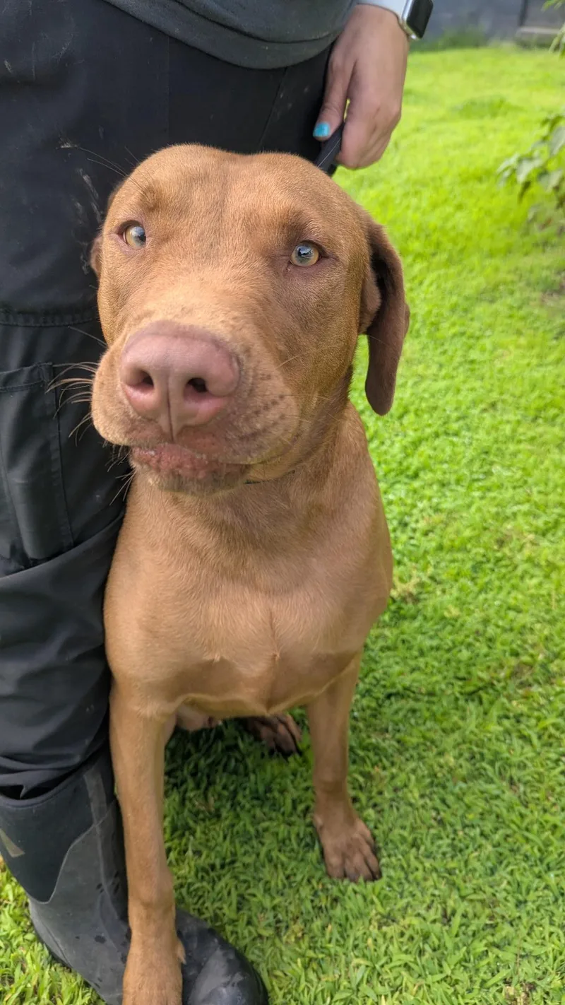 Ludacris thumbnail 4