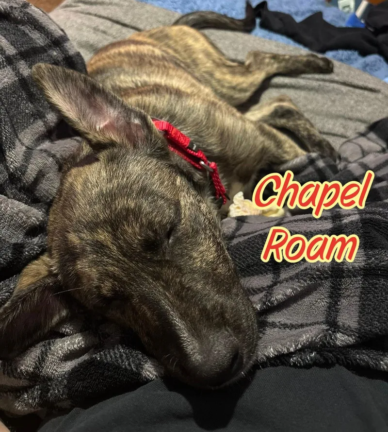 Chapel Roam thumbnail 2
