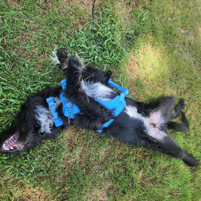 Hershey thumbnail 3