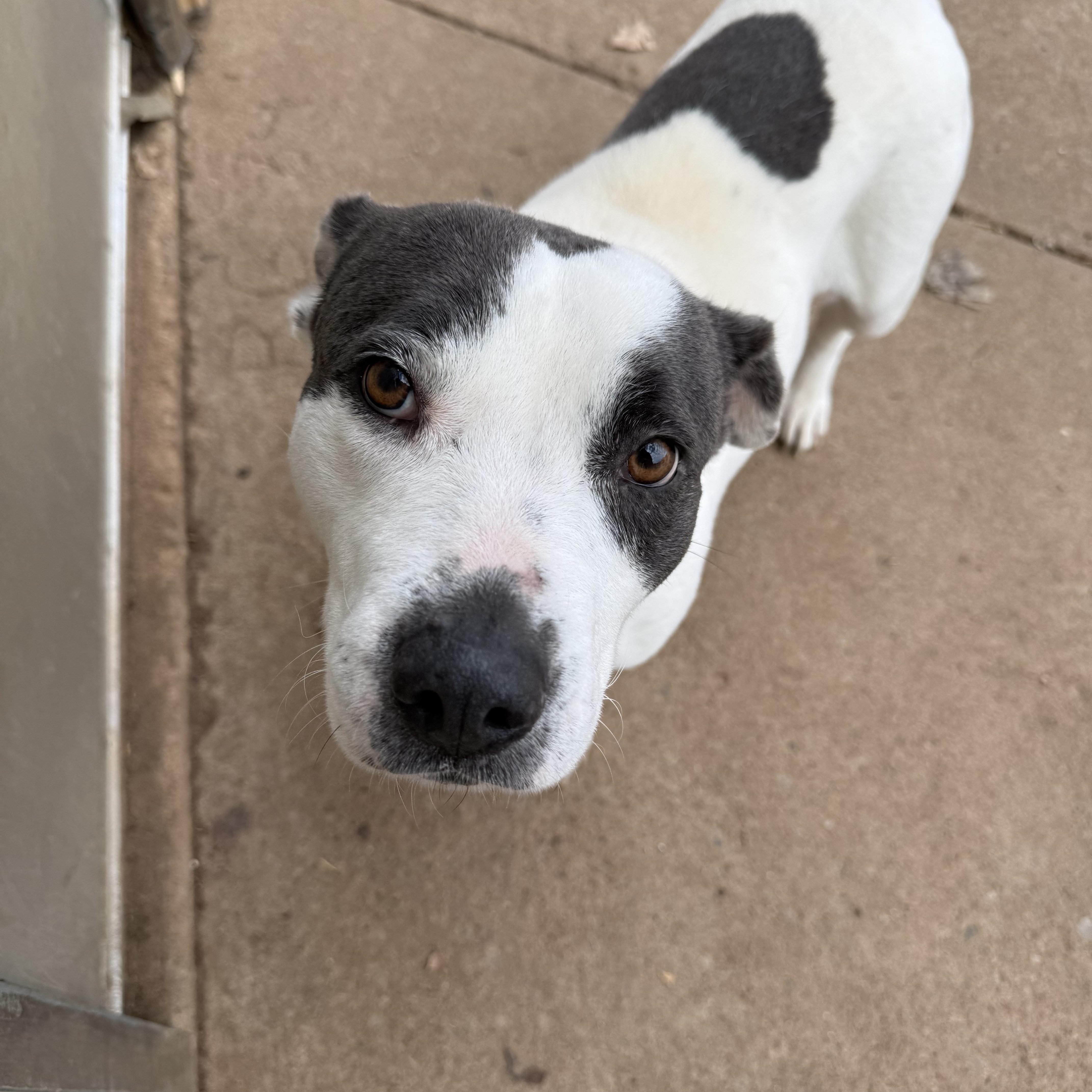 Coral Sue thumbnail 2