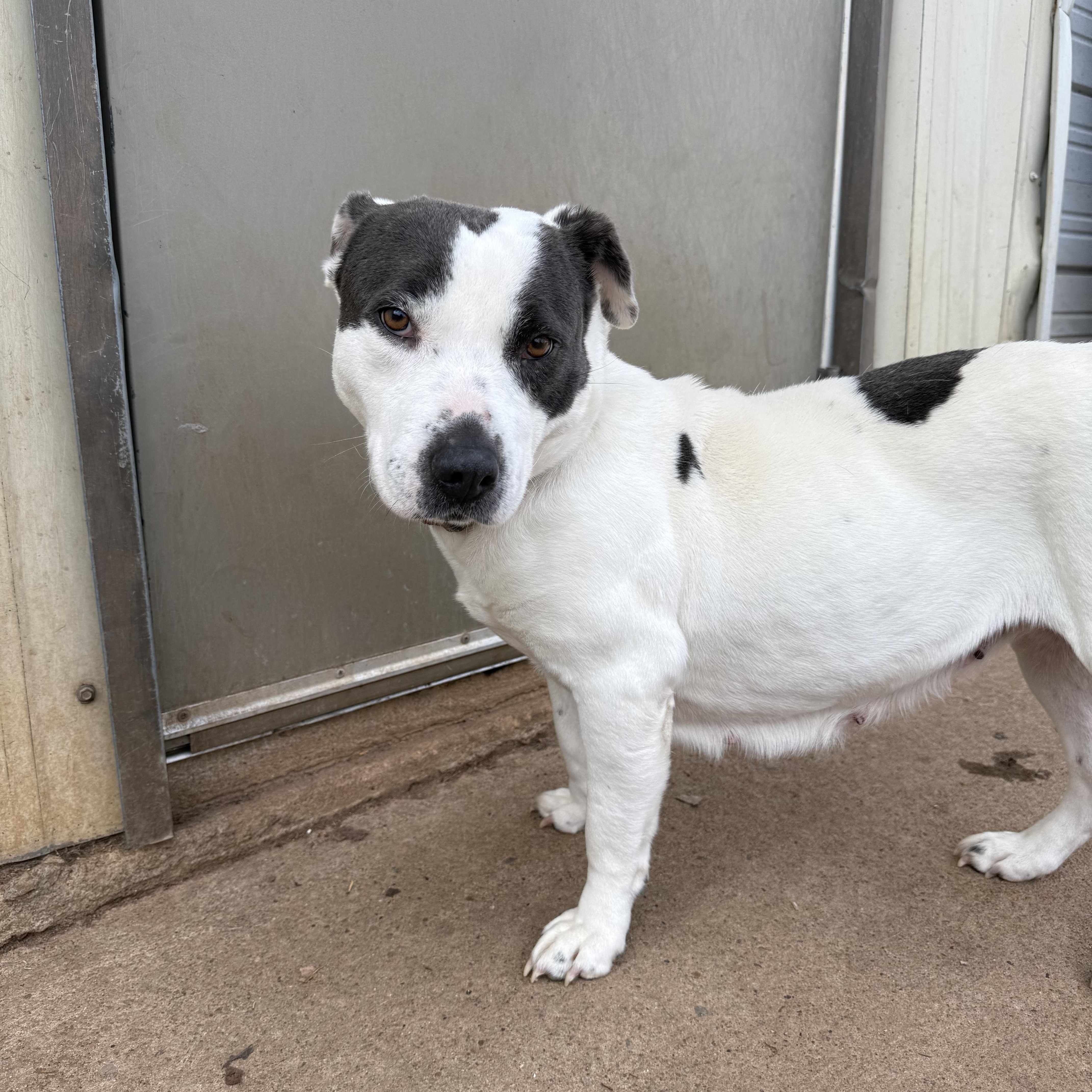 Coral Sue thumbnail 3