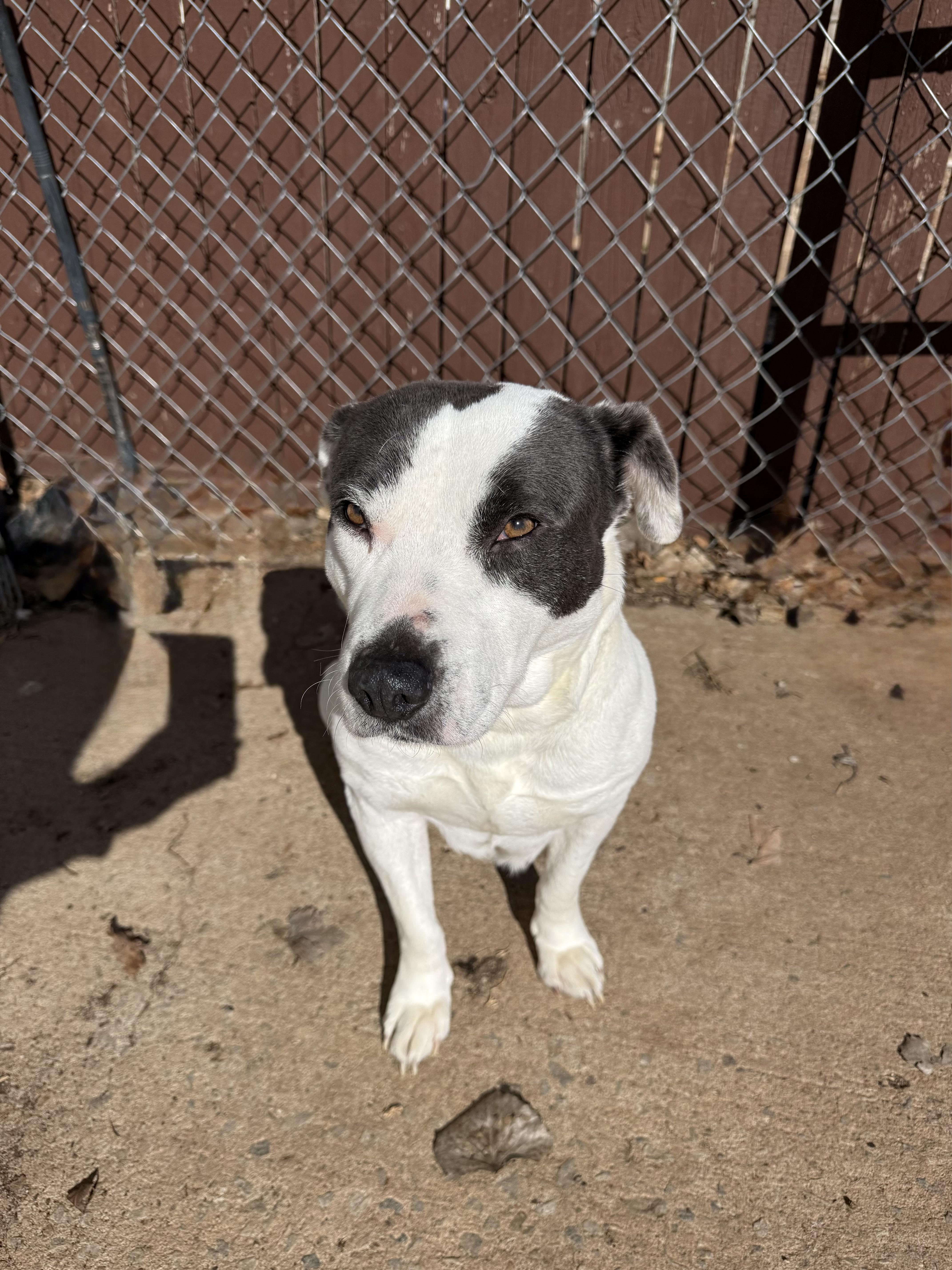 Coral Sue thumbnail 4