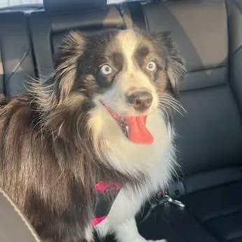 Angela