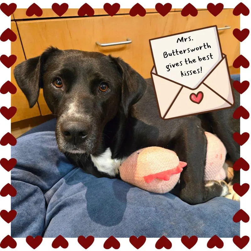 Mrs. Buttersworth thumbnail 5