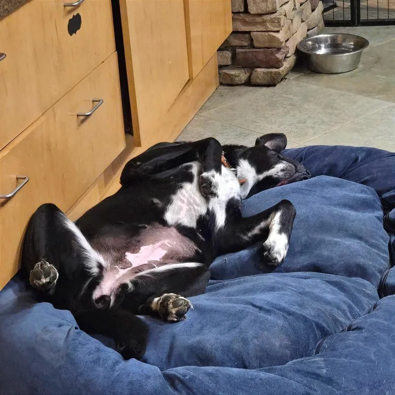 Mrs. Buttersworth thumbnail 6