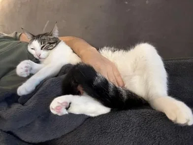 Oreo Marie thumbnail 2