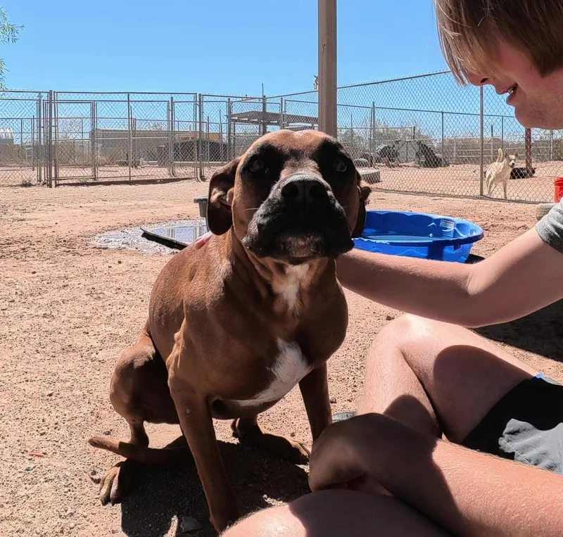 Lola thumbnail 2