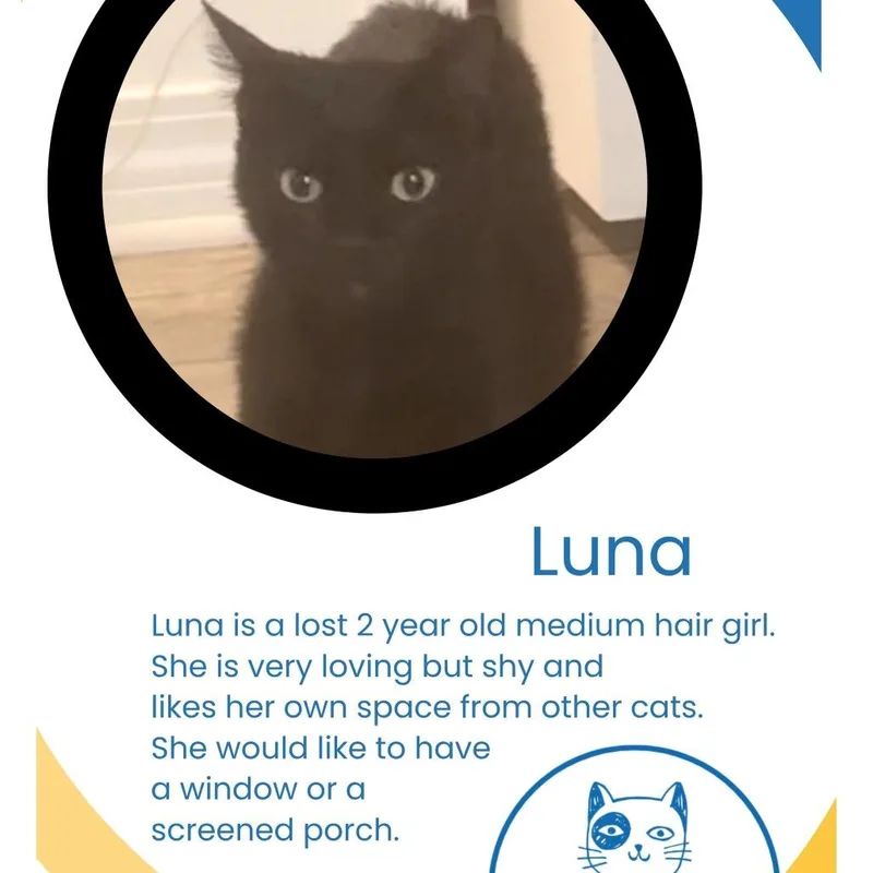 Luna thumbnail 4