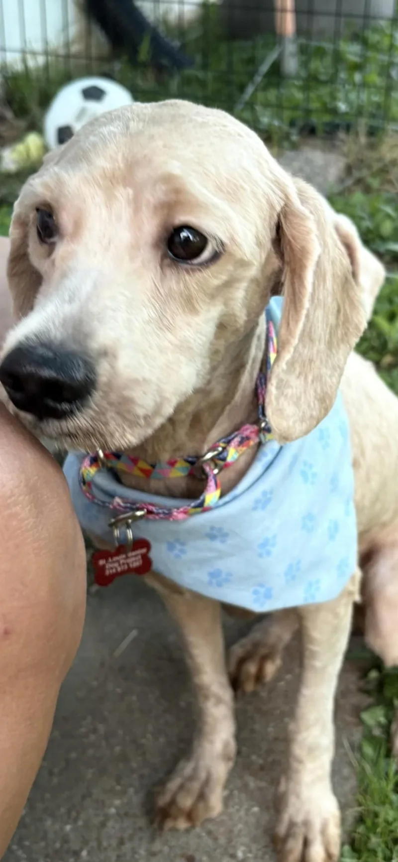 Murphy thumbnail 3