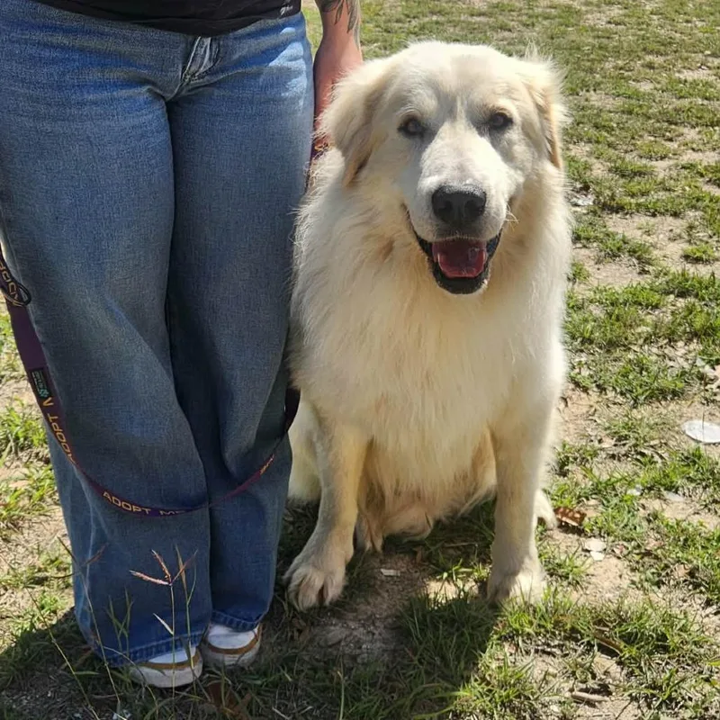 Mr. Peabody Jum thumbnail 2