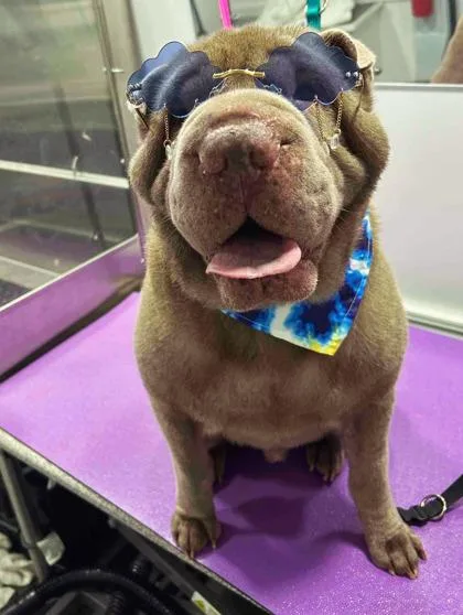 Meatloaf thumbnail 2