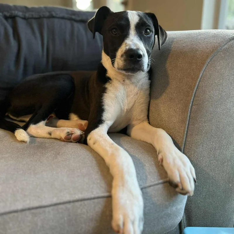 George Ag thumbnail 3