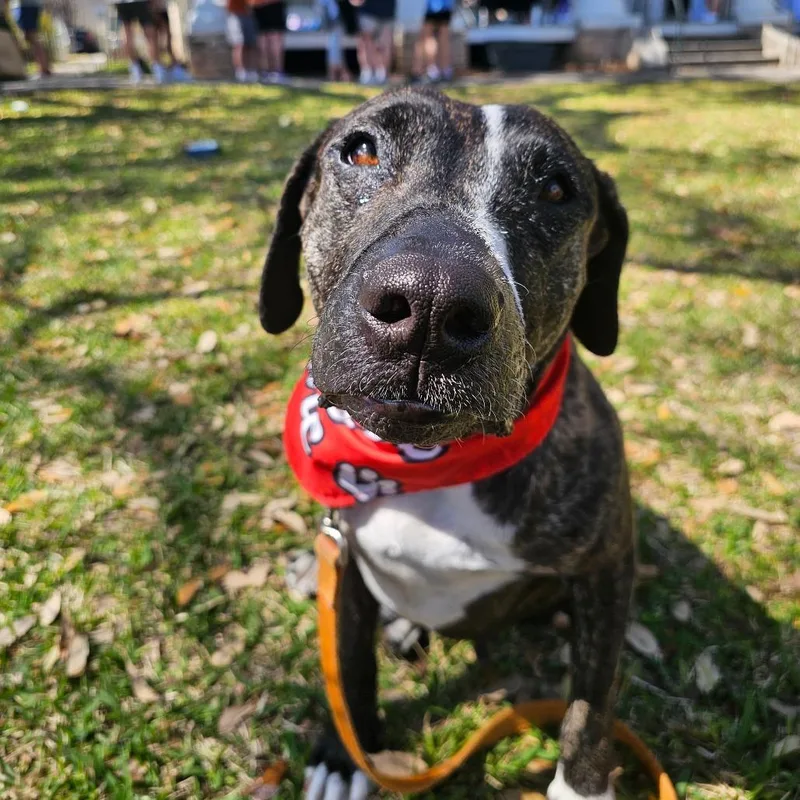 Cookie Cuddles thumbnail 5