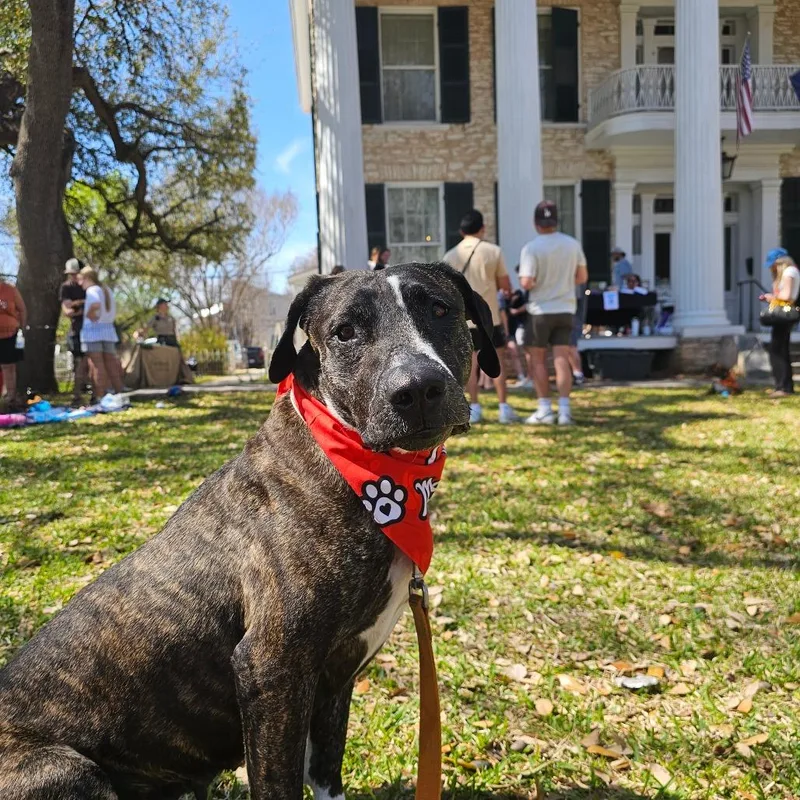 Cookie Cuddles thumbnail 6