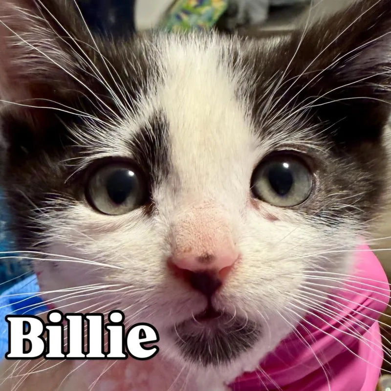 Billie Silverman thumbnail 2