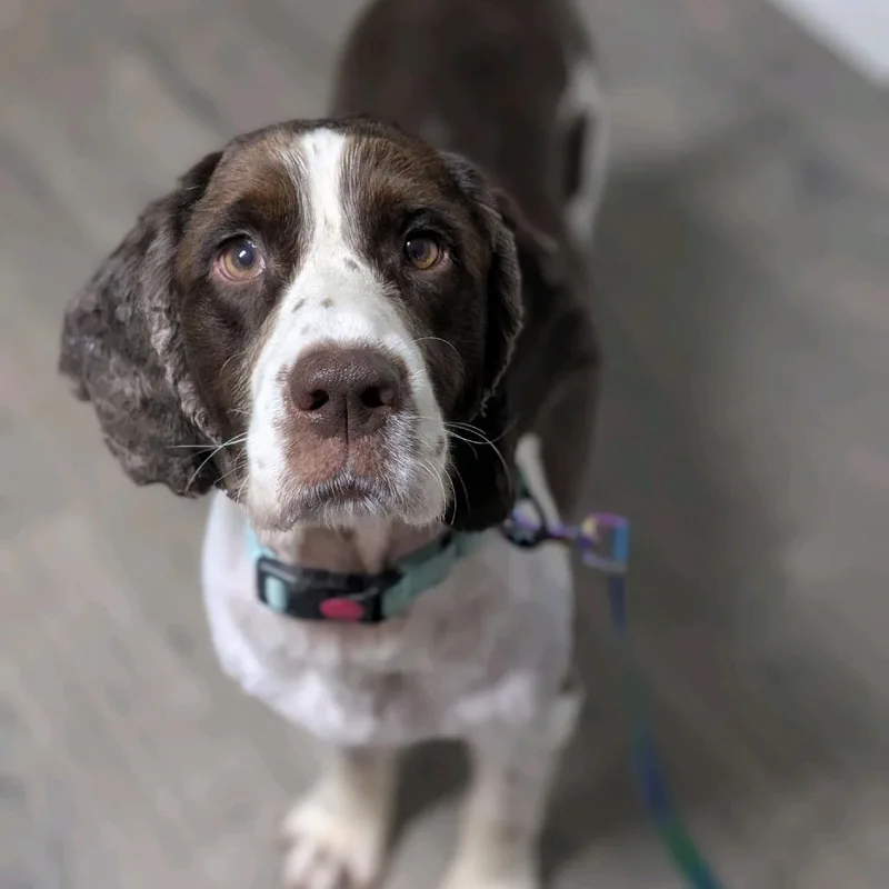 Kendra Scott thumbnail 2