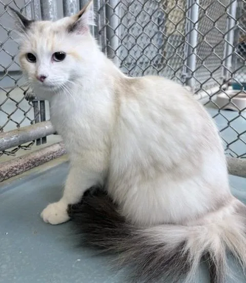 Luna