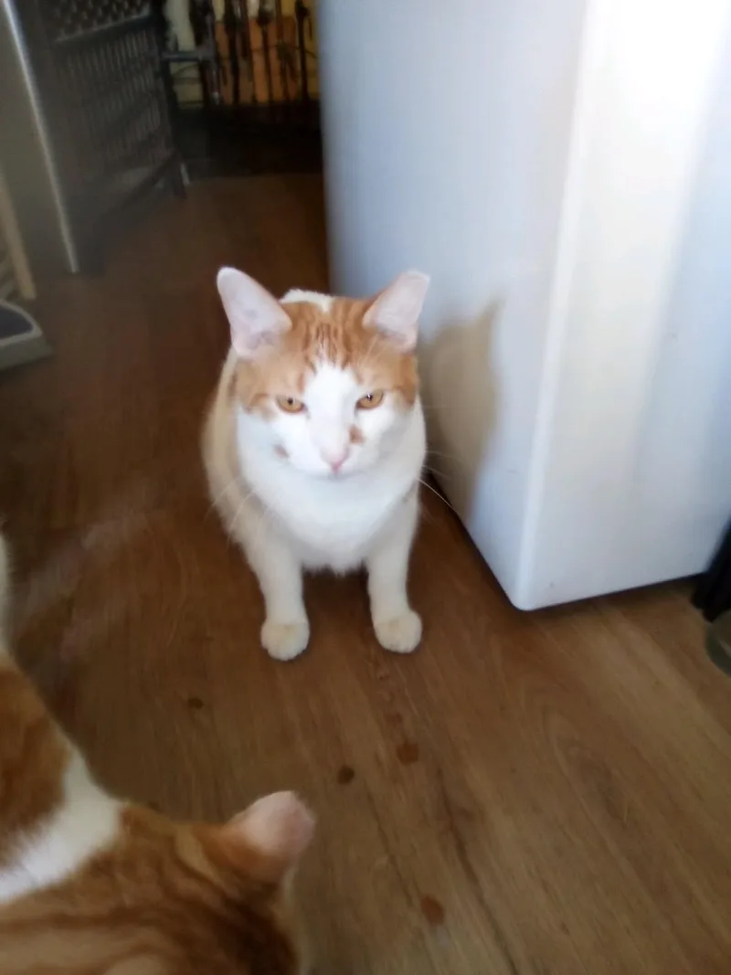 Parker & Niles thumbnail 2